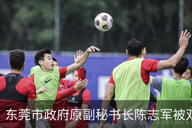东莞市政府原副秘书长陈志军被双开