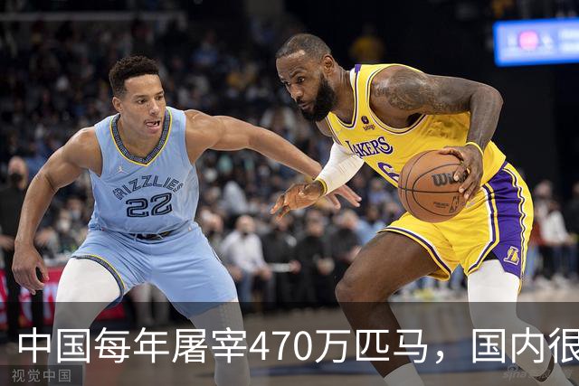 中国每年屠宰470万匹马，国内很少人吃，马肉都去哪了？