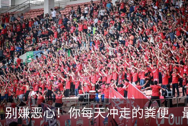 别嫌恶心！你每天冲走的粪便，最后竟全藏进城市这些秘密角落里！
