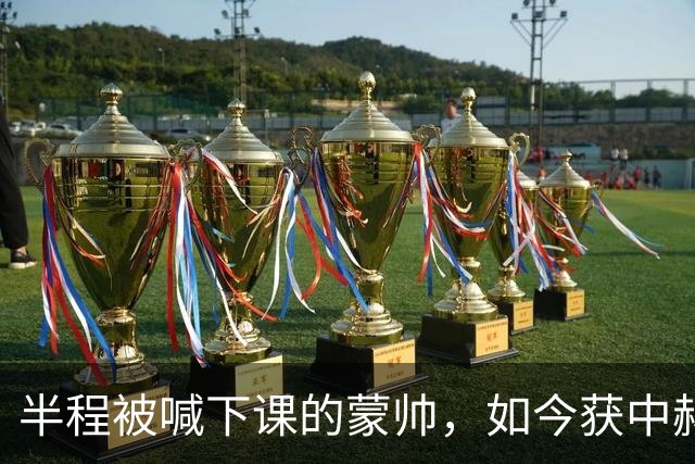 半程被喊下课的蒙帅，如今获中赫高层高度认可合同不止一年，可法比奥报销了，20场不败的国安真能过海港和全北这两关吗？