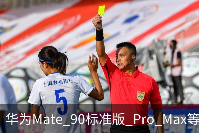 华为Mate 90标准版/ Pro Max等机型开放24期免息分期活动，国补价5499元起