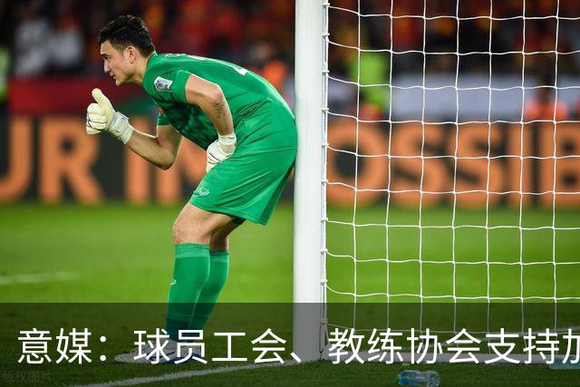 意媒：球员工会、教练协会支持加利亚尼竞选足协主席