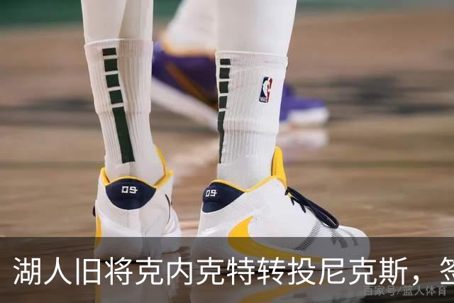 湖人旧将克内克特转投尼克斯，签双向合同