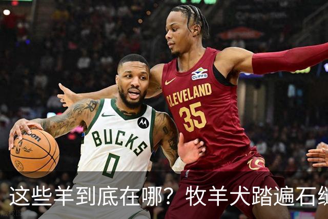 这些羊到底在哪？牧羊犬踏遍石缝只为把你找出来啊！